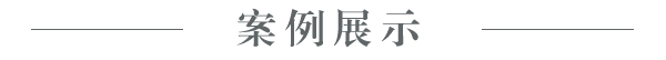 案例展示